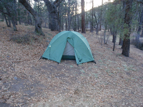 Tent (setup for the morning sun to shine on it).